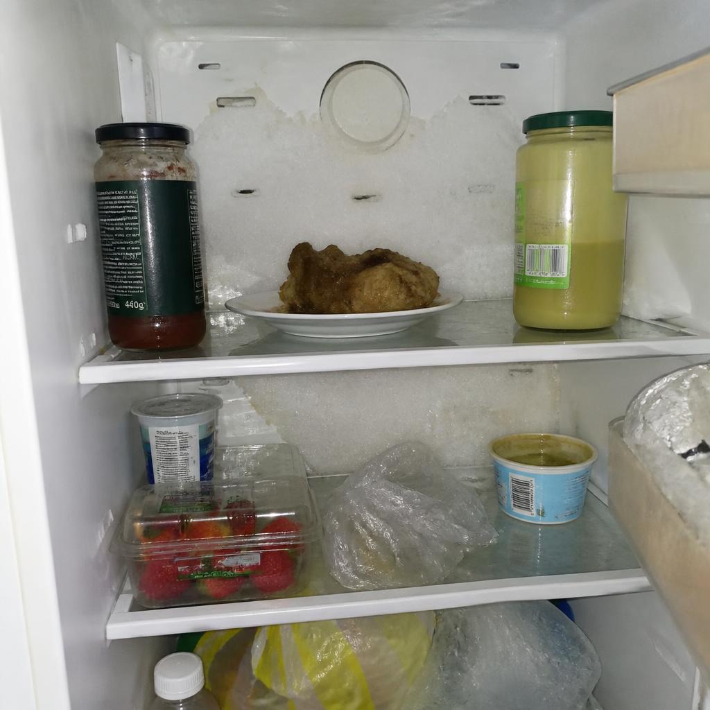 Before — Built-In Refrigerator Not Cooling — Sealed System & Fan Failure, Winnetka, IL