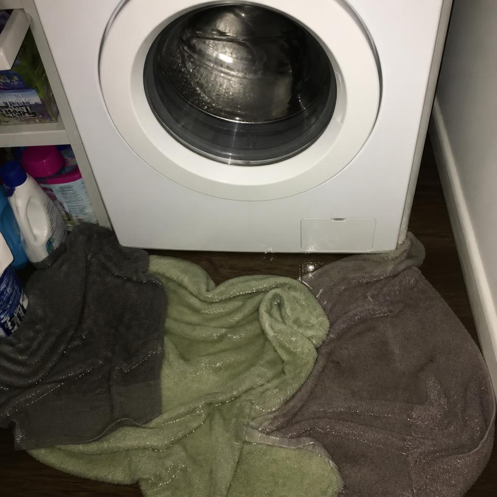 Before — Front-Load Washer Leaking & Not Draining — Pump and Seal Rebuild, Northbrook, IL